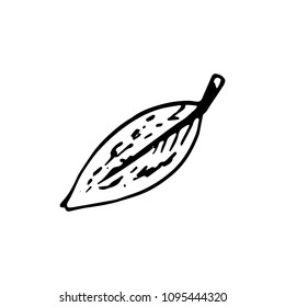 Handdrawn leaf doodle icon. Hand drawn black sketch. Sign symbol. Decoration element. White background. Isolated. Flat design. Vector illustration.