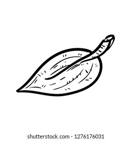 Handdrawn leaf doodle icon. Hand drawn black sketch. Sign symbol. Decoration element. White background. Isolated. Flat design. Vector illustration.