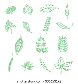 Hand-drawn leaf elements in vector