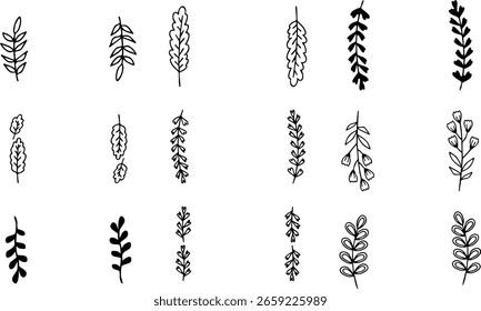 Hand-drawn leaf monochrome frame set.