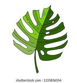 Hand-drawn leaf of Monsters on a white Background