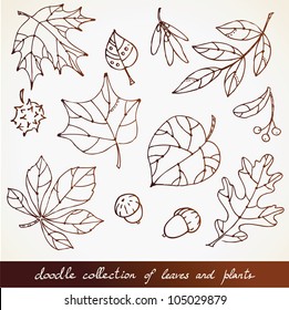 Hand-drawn leaves doodles set