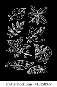 Hand-drawn leaves doodles set