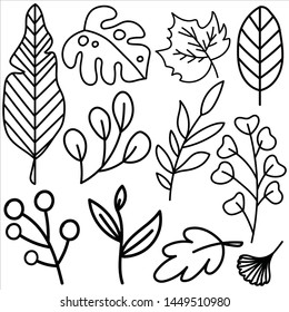 Hand-drawn leaves doodles set.  vector illustration