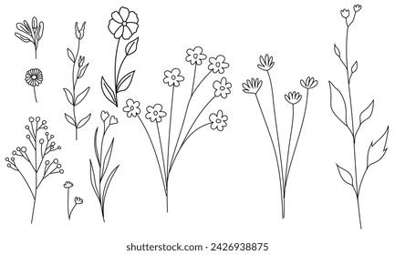 Hand-drawn leaves, field vegetation, foliage, and flowering plant abstract design set, streamlined natural twig