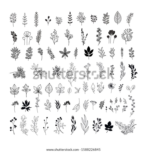 Handdrawn Leaves Flowers Floral Clipart Leaf Stock Vector (Royalty Free ...