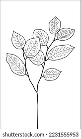 Handdrawn leaves illustration for social media nature background marketing