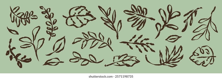 Hand-drawn leaves pattern on a green background. Various leaf designs, leaf illustrations, and leaf sketches create a natural, botanical theme. Hand drawn botanical illustrations vector set.