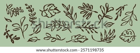 Hand-drawn leaves pattern on a green background. Various leaf designs, leaf illustrations, and leaf sketches create a natural, botanical theme. Hand drawn botanical illustrations vector set.
