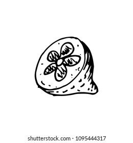 Handdrawn lemon doodle icon. Hand drawn black sketch. Sign symbol. Decoration element. White background. Isolated. Flat design. Vector illustration.
