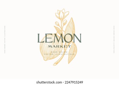 Hand-drawn lemon fruit and flower with lettering. Citrus fruit in engraving style. Logo template for market, shop, cafe, restaurant. Vintage botanical illustration on light background isolated.