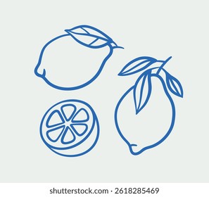 Hand-drawn lemon Illustrations. Line art, ink, minimalist style. Vector illustration. Summer collection.