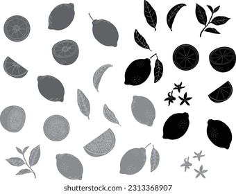 Hand-drawn lemon silhouette illustration set