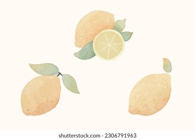 Hand-drawn Lemon Watercolor  Vector Illustration on White Background.This captivating vector illustration features a delightful hand-drawn depiction of a lemon on a pristine white background. 