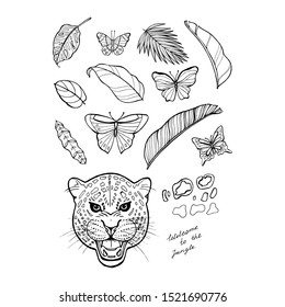 Hand-drawn leopard. Coloring page - zendala, design for spiritual relaxation for adults, vector illustration, isolated on a white background.