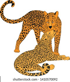 hand-drawn leopard, hand-drawn vector leopard cheetah