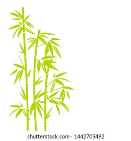 Handdrawn Light Green Bamboo Plant Vertical In Square Background