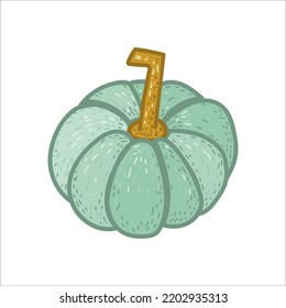 Handdrawn light green pumpkin on a white background