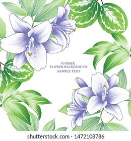 Hand-drawn lily flower with green tropical leaves . Vector element for design.