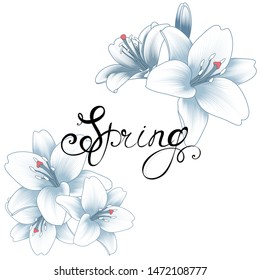 Hand-drawn lily flower. Vector element for design.