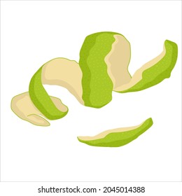 Hand-drawn  lime peel isolated on white background.  Citrus fruit. Food waste. Vector illustration