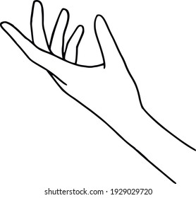 Hand-drawn line art hands. Elegant gestures isolated on white. Minimalist vector art. Womens hands icons, symbols and logo.