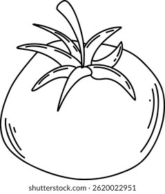 Hand-drawn line art illustration of a fresh tomato. Minimalistic black and white sketch, perfect for packaging design, menus, branding, organic product labels, farmers markets, cookbooks, and eco-frie