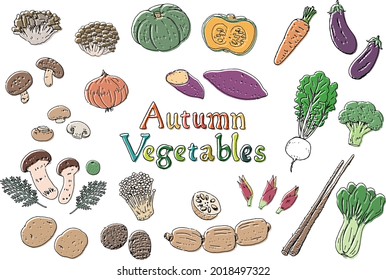 野菜 線画 手書き の画像 写真素材 ベクター画像 Shutterstock