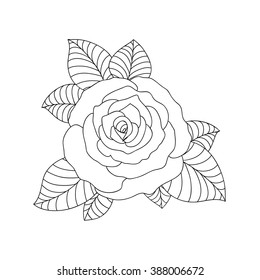 Hand-drawn Lines Rose Flower Isolated on white background. Element for design. Vector Illustration.