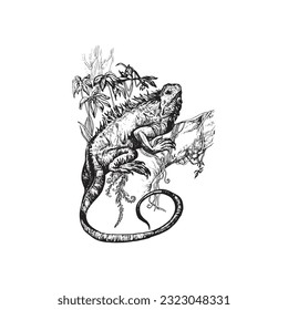 handdrawn lizard illustration, lizard drawing, iguan apicture, jungle, tropical, wild animal
