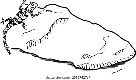 Hand-drawn lizard on a rock vector doodle. For those who love discovering critters in nature. 