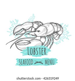 Handdrawn lobster for your design.