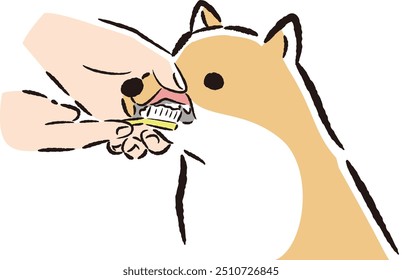 Hand-drawn, loose and cute illustration of dog care. A rough and stylish impression. Vector illustration.