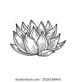 A hand-drawn lotus succulent sketch, perfect for zen decor or meditation spaces. Minimalist and botanical design for a serene and calming atmosphere.