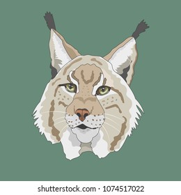 Handdrawn Lynx Face Isolated Stock Vector (Royalty Free) 1074517022 ...