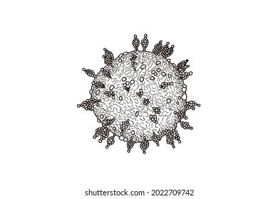 Hand-drawn Macro coronavirus(covid-19) cell delta plus variant. B.1.617.2 E484Q L452R.COVID 19 Delta plus variant Sars ncov 2 2021.