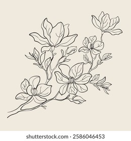 Hand-Drawn Magnolia Flowers. Elegant Floral Botanical Illustration. Black and White Vector Design.