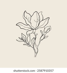 Hand-Drawn Magnolia Flowers. Elegant Floral Botanical Illustration. Black and White Vector Design.