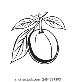 Hand-drawn mango fruit vector, showcasing intricate black line art. Perfect for adding a tropical touch to your designs. Ideal for prints, apparel, digital media, and more.