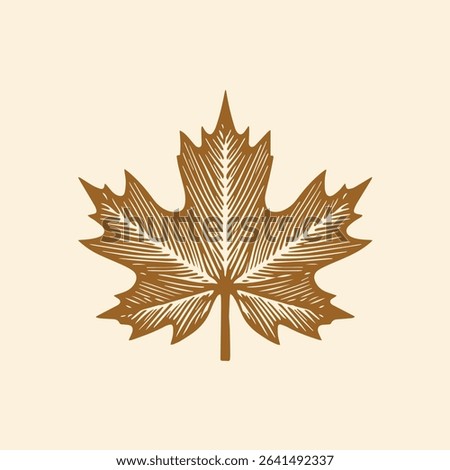 Hand-drawn Maple leaf art  fall season
