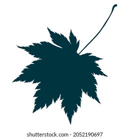 Silhouette de hojas de arce dibujada a mano aislada en fondo blanco. Ilustración vectorial de estilo plano de dibujos animados.