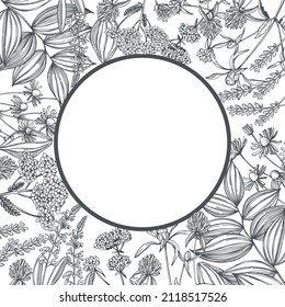 Hand-drawn medicinal herbs.  Vector frame. Sketch  illustration.