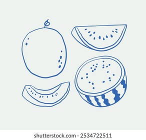 Hand-drawn melon and watermelon. Line art. Vector illustration.
