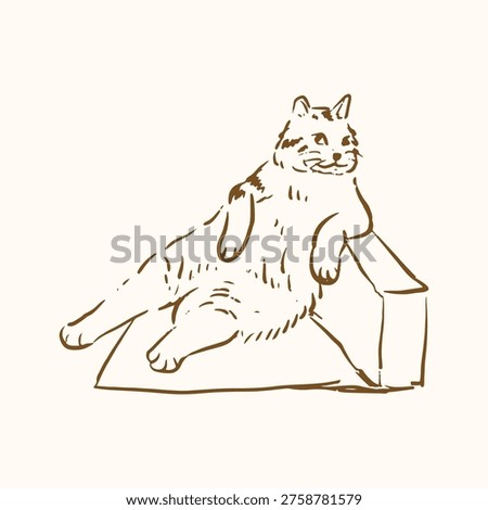 handdrawn meme of an fat cat sitting