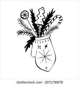 Hand-drawn mitten with Christmas tree branches and candy canes is a gift for the new year. Doodle vector illustration
