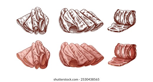 Hand-drawn monochrome and colored vector sketch of  pork meat, ham slice, prosciutto vintage sketch. Butcher shop. 