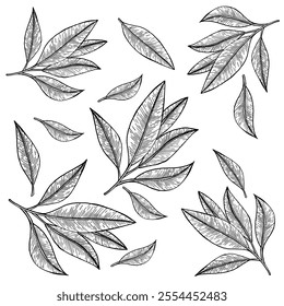 Hand-drawn monochrome illustration of leaves and branches, perfect for stickers, wall art, patterns, and other minimalist designs. Ideal for nature-inspired decorations, botanical prints. minimalism