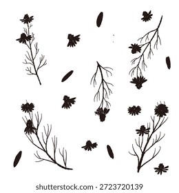 Ilustrações monocromáticas de camomila desenhadas à mão (molduras, coroas, padrões, etc.)