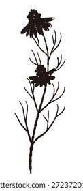 Ilustrações monocromáticas de camomila desenhadas à mão (molduras, coroas, padrões, etc.)