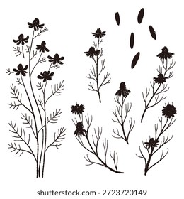 Ilustrações monocromáticas de camomila desenhadas à mão (molduras, coroas, padrões, etc.)